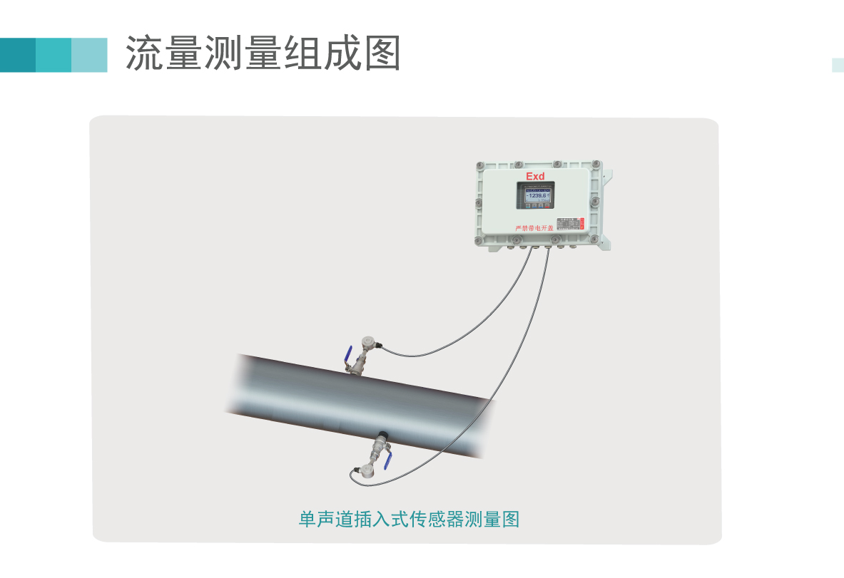 单声道防爆插入_06.jpg